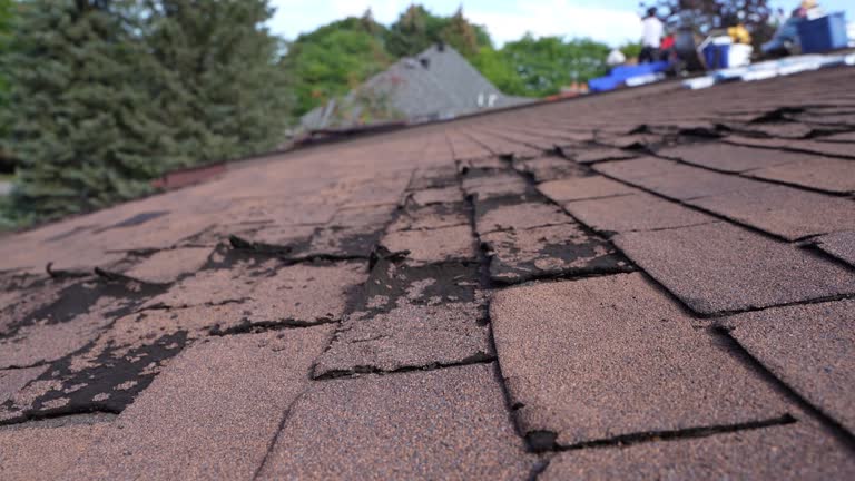 Reliable Key Vista, FL Roofing Service Solutions