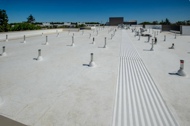 Best Slate Roofing  in Key Vista, FL